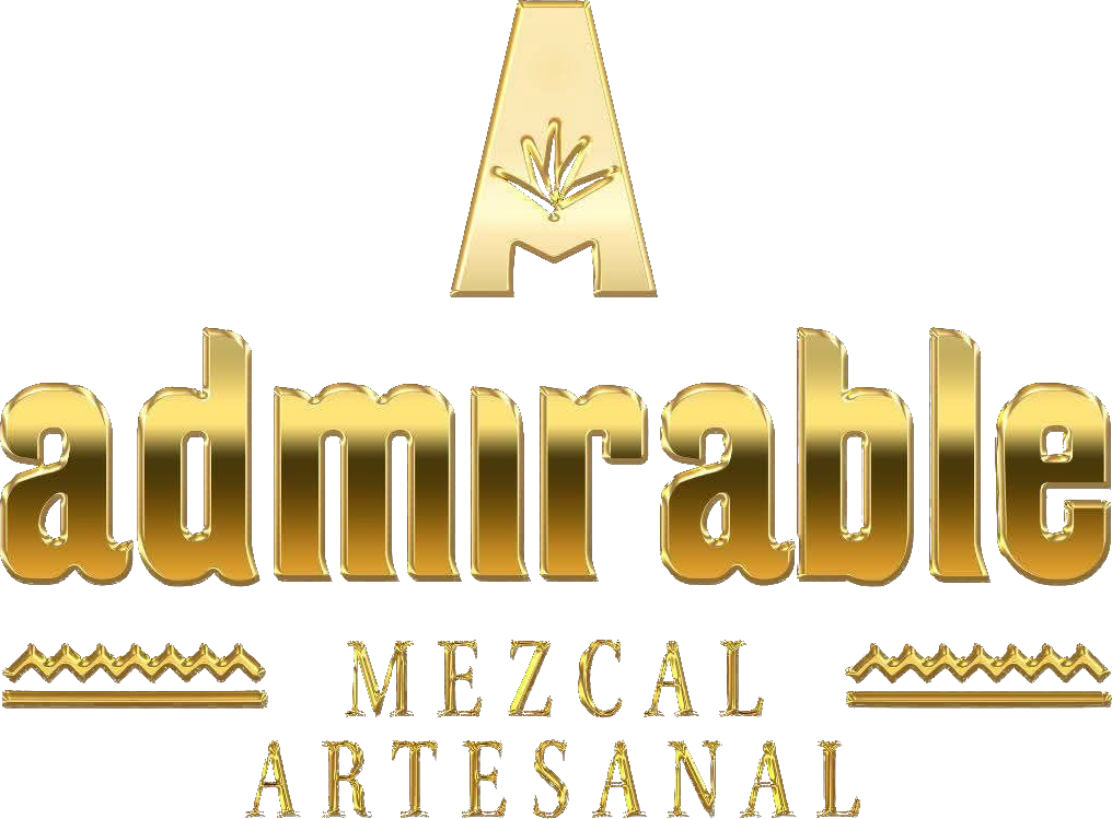 Marketing Agency
